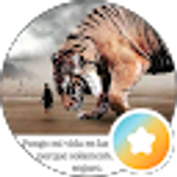 Profile photo of Deivo _Vzla