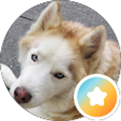 Profile photo of Sammy Choi