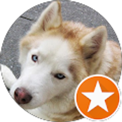 Profile photo of Sammy Choi