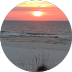 Profile photo of Cheryl Singleton