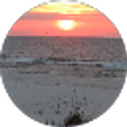 Profile photo of Cheryl Singleton