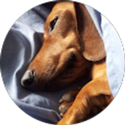Profile photo of Krisie McInerny