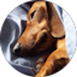 Profile photo of Krisie McInerny