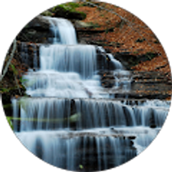 Profile photo of Angela Rossel