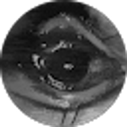 Profile photo of sebastian gabino