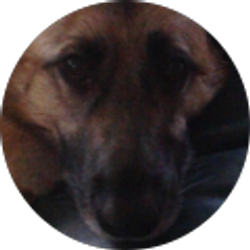 Profile photo of Connor MacDonald