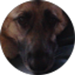 Profile photo of Connor MacDonald