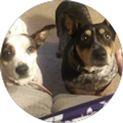 Profile photo of TRACEY SHARP