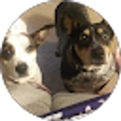 Profile photo of TRACEY SHARP