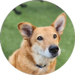 Profile photo of Chase Evans