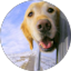 Profile photo of Stu Quinn