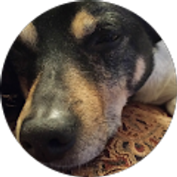 Profile photo of Marisa Martinez