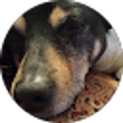 Profile photo of Marisa Martinez