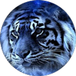 Profile photo of Micah Preston