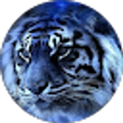Profile photo of Micah Preston