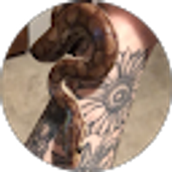 Profile photo of Kate’s Zoo
