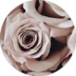 Profile photo of Deidre Collins