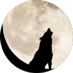 Profile photo of Carlos Vela