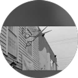 Profile photo of Crystal Mitchell