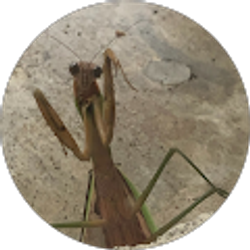 Profile photo of Miles Johnson