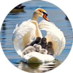 Profile photo of Marie Knight