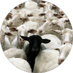 Profile photo of Garrett Pelton