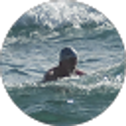 Profile photo of Jim Boylan