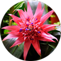 Profile photo of Brianna _