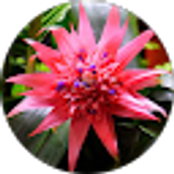 Profile photo of Brianna _
