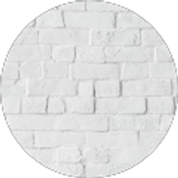 Profile photo of C D