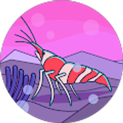 Profile photo of dani riggs