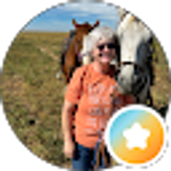 Profile photo of Lisa Hill