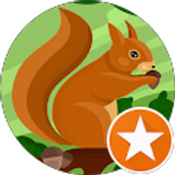 Profile photo of Tom Liu