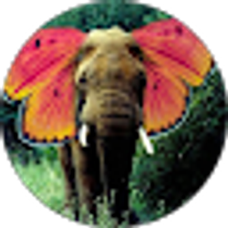 Profile photo of Tiara Virges