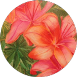 Profile photo of Anita Gluodenis