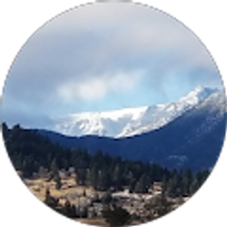 Profile photo of Shelly W