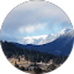 Profile photo of Shelly W