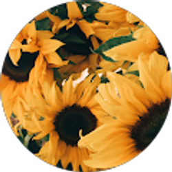 Profile photo of Francisca Perez