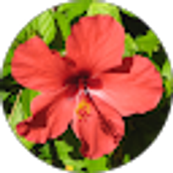 Profile photo of E Linder