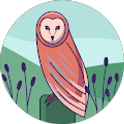 Profile photo of Tammy Jo Heavelow