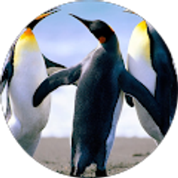 Profile photo of Missy Harper