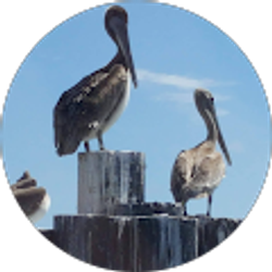 Profile photo of Texas Iron Productions