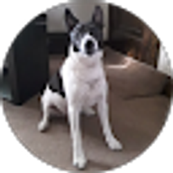 Profile photo of Norm Carguy