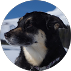 Profile photo of Christopher Keil