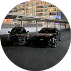 Profile photo of yogi bear