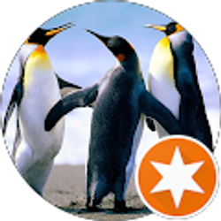 Profile photo of W D