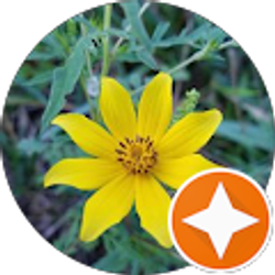 Profile photo of Wanda