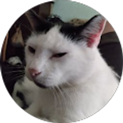 Profile photo of James Yancey