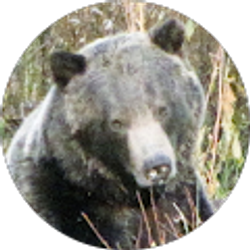 Profile photo of Jerry Mallack