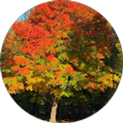 Profile photo of Marc Alper